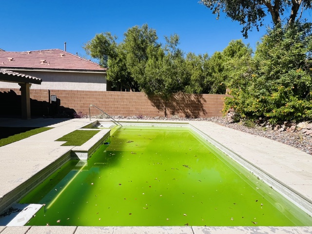 Green Pool Cleanup / Recovery